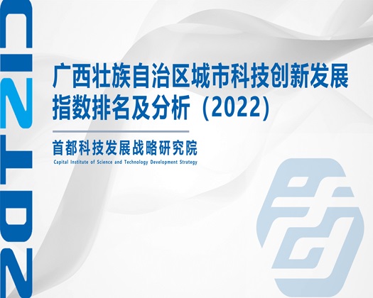 被操逼操到喷水视频【成果发布】广西壮族自治区城市科技创新发展指数排名及分析（2022）